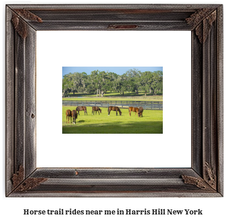 horse trail rides near me in Harris Hill, New York